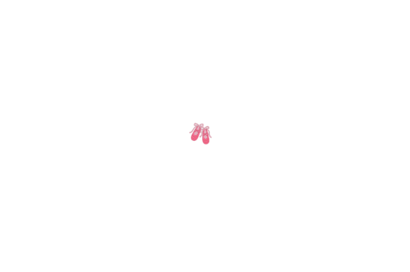 Ballet Shoes Embroidery Review